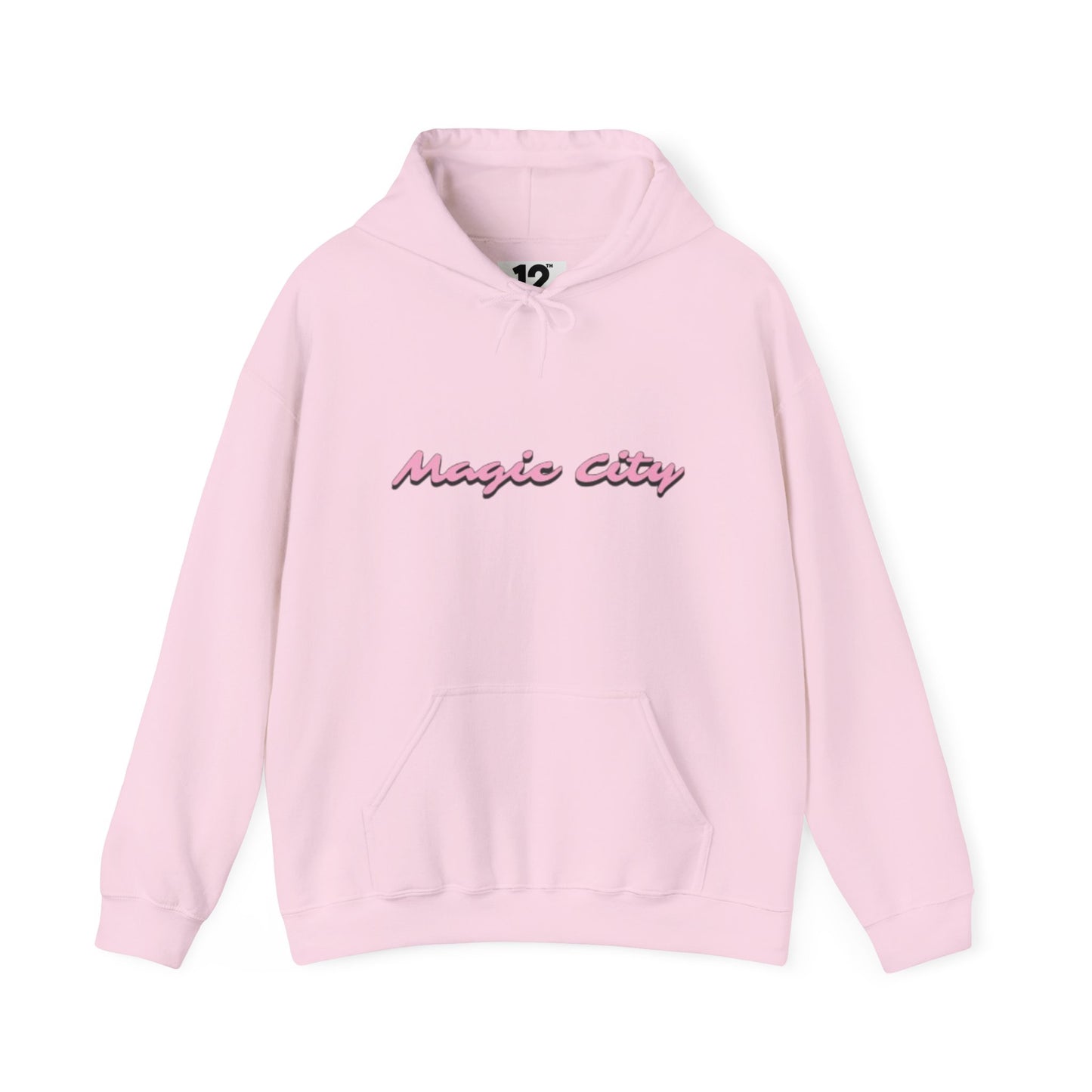 Magic City Flamingo Hoodie – Summer Is Coming