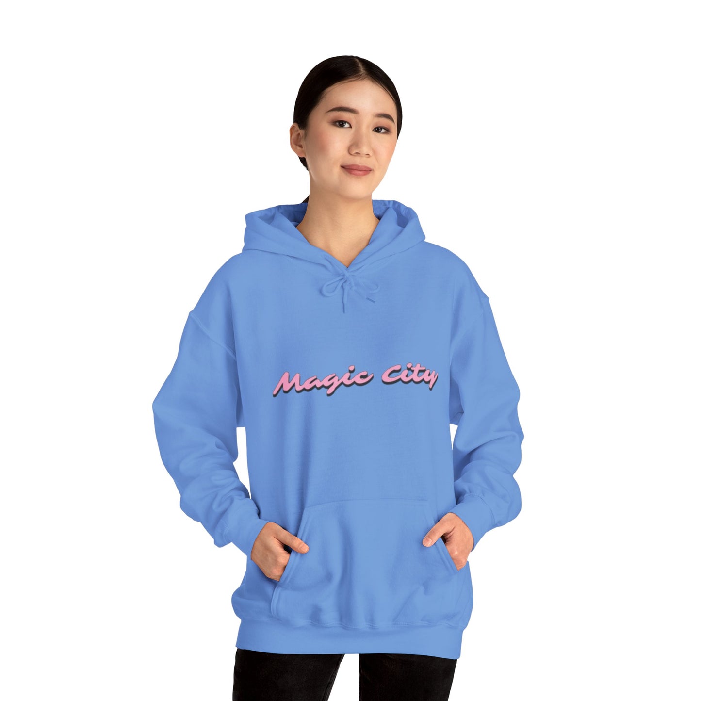 Magic City Flamingo Hoodie – Summer Is Coming