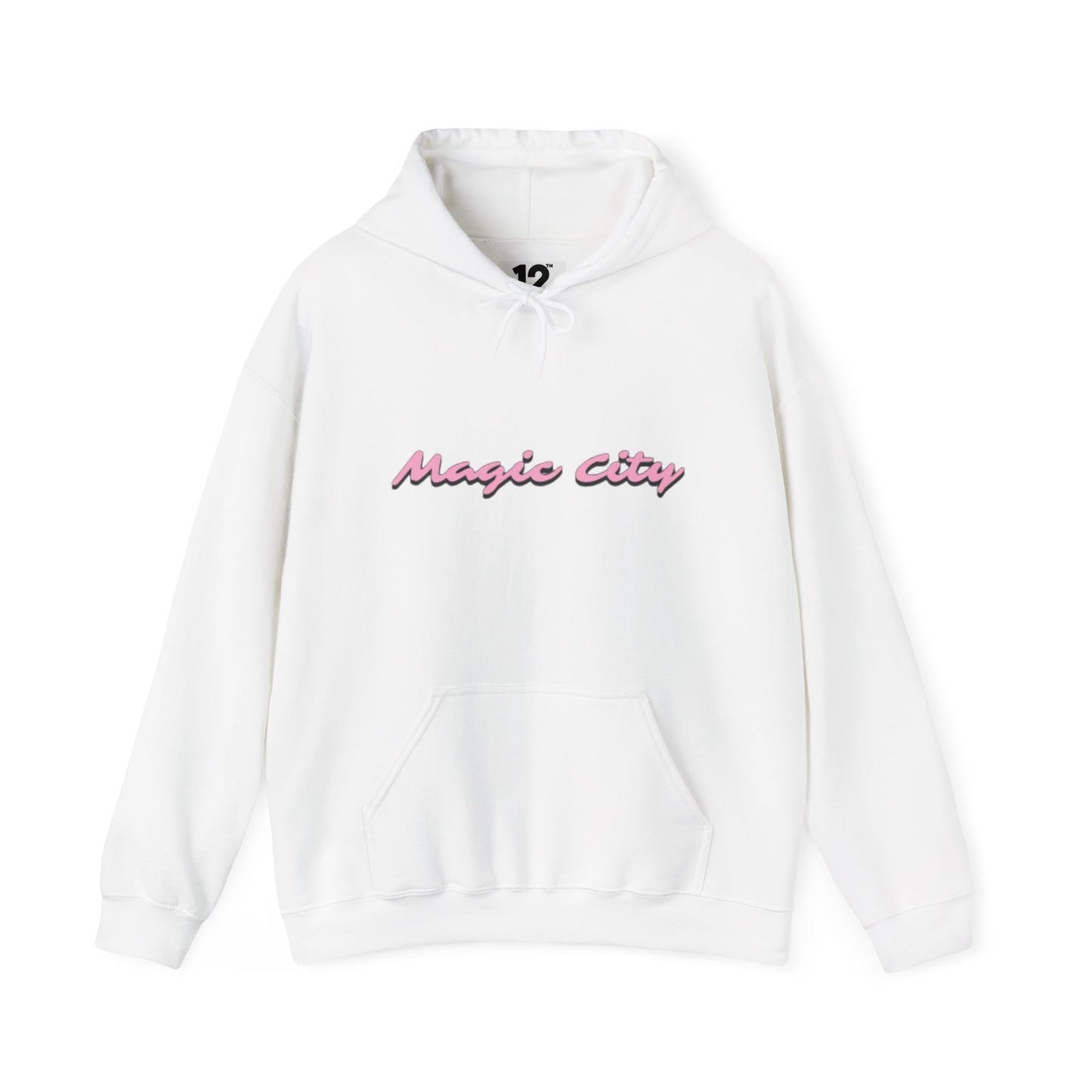 Magic City Flamingo Hoodie – Summer Is Coming