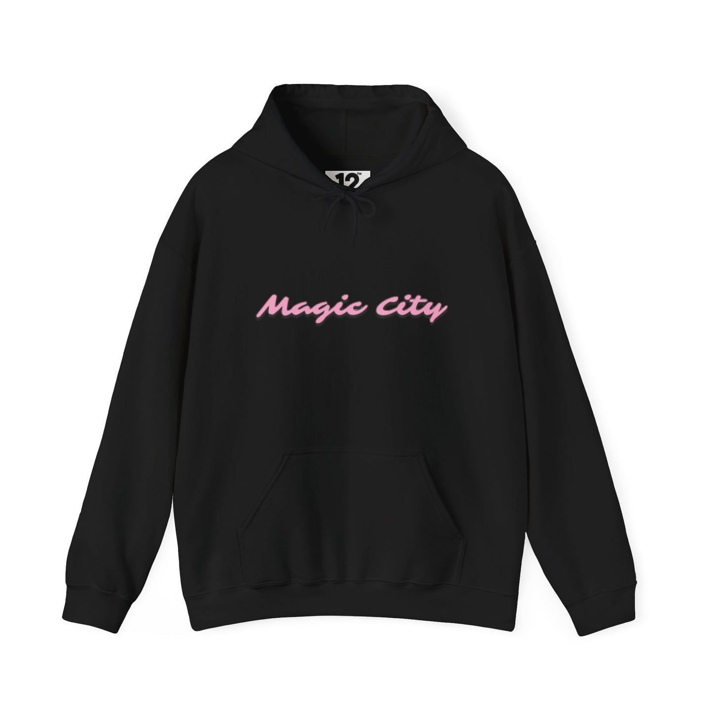 Magic City Flamingo Hoodie – Summer Is Coming