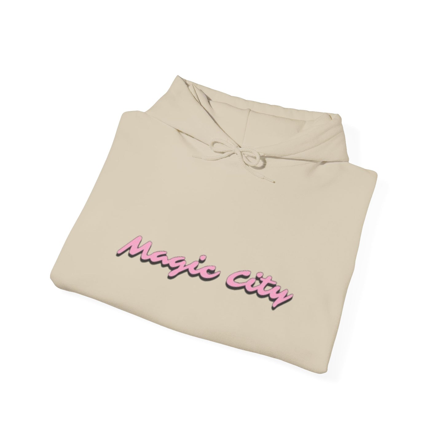 Magic City Flamingo Hoodie – Summer Is Coming