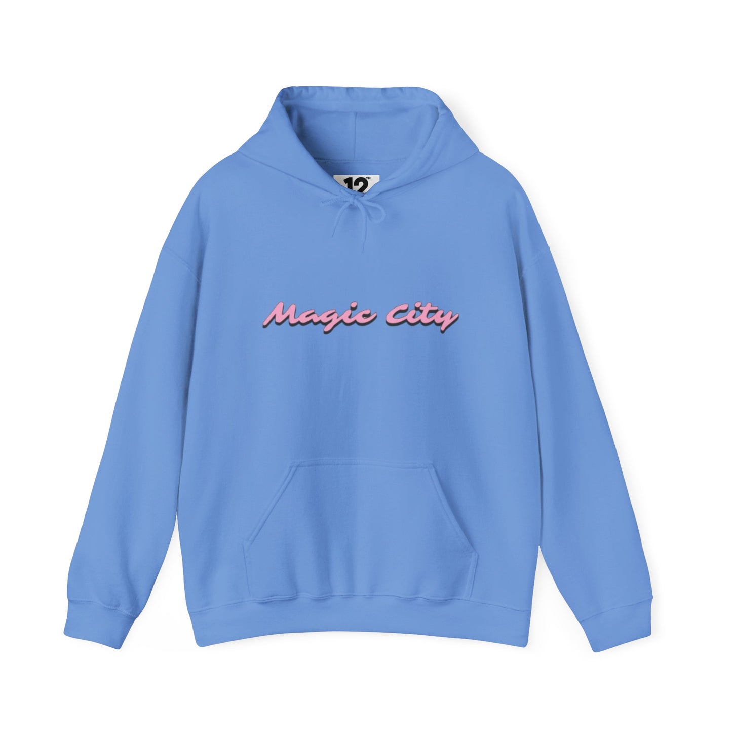 Magic City Flamingo Hoodie – Summer Is Coming