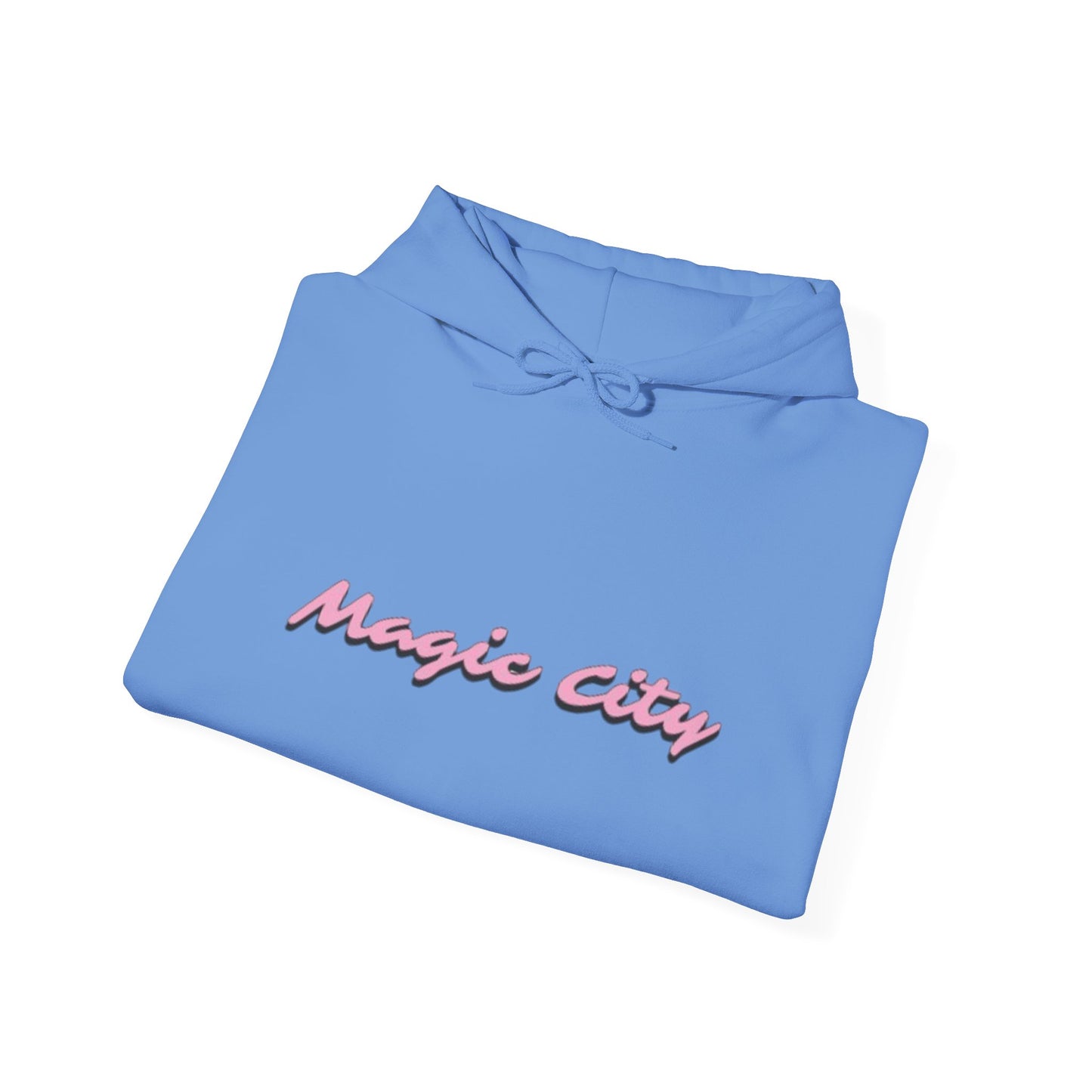 Magic City Flamingo Hoodie – Summer Is Coming